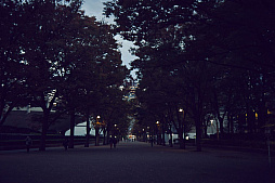 ���������꡼ No.013�Υ���ͥ������ / �ޥե������Ĥ��󼡸����褤������542��֤Ĥ��˽���륢�˥����3��ǯ��ޤ���DDS��