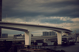 ���������꡼ No.014�Υ���ͥ������ / �ޥե������Ĥ��󼡸����褤������542��֤Ĥ��˽���륢�˥����3��ǯ��ޤ���DDS��