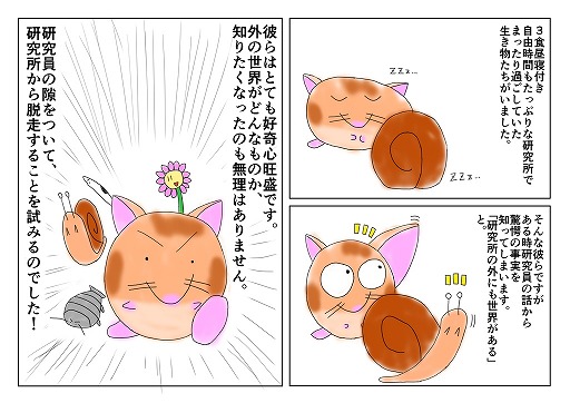 ���������꡼ No.003�Υ���ͥ������ / �ܡ��ɥ�����֥ϥ�ϥ���æ�����פΥ��饦�ɥե���ǥ��󥰤�����