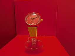 ꡼ No.021 | ֤Ρץ󥹤ޤâSHINING STOREָꥪץ󡣥ɥ뤿ˤץǥ塼åʤɡˤʤ륰åϤ