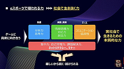 ꡼ No.019Υͥ / NTTe-SportsĹƱҤܻؤeݡĤ̤äֹ Ȭ83ˡפݡ