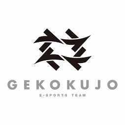 ���������꡼ No.002�Υ���ͥ������ / e���ݡ��ĥ�����GEKOKUJO���������ȥ��ݥ󥵡����������