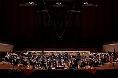 ���������꡼ No.013�Υ���ͥ������ / TGS��25��ǯ��ˤ����󥵡��ȡ�TOKYO GAME MUSIC FES�ס����ܤΥ��åȥꥹ�Ȥ�������Amazon�Υ����ӥ��ˤ��ʪ�Τ�ץ쥤�ꥹ�Ȥ��ۿ���