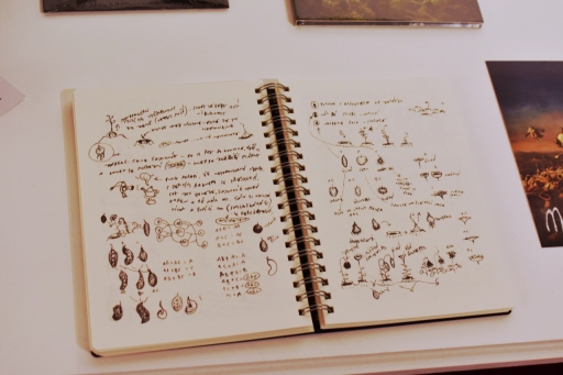 ꡼ No.008Υͥ / 󥿡˥Υब罸硣Ÿʤɤ˭٤ʡ֥פ˹ԤäƤߤ