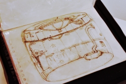 ꡼ No.013Υͥ / 󥿡˥Υब罸硣Ÿʤɤ˭٤ʡ֥פ˹ԤäƤߤ