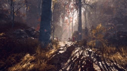 ꡼ No.016Υͥ / 󥿡˥Υब罸硣Ÿʤɤ˭٤ʡ֥פ˹ԤäƤߤ