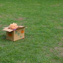 画像ギャラリー No.018のサムネイル画像 / カイロソフトの公式オンラインショップがオープン。限定グッズを公開