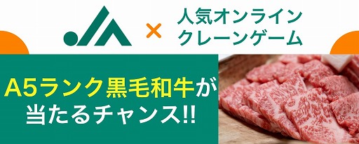 ���������꡼ No.001�Υ���ͥ������ / �������ͷ��ǥա��ɥ����︺���ԡ��ʥåġ�����֤Υ���饤�󥯥졼�󥲡����JA�ξ��ʤ����ʤȤ����о�