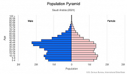 ꡼ No.004 | ӥβҺƤӡeݡĥޥåפǸե벦Ҥˡ3ǯ֤ߤʹ