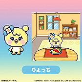 ꡼ No.020Υͥ / ֤ޤäޡȡסNiziUб鿷CMءܾʾ