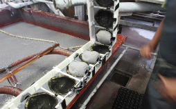 ���������꡼ No.006�Υ���ͥ������ / �֥ɥ饴�󥯥����ȥ��ѥ� ����ޥ��饤��׳�ȯ���ä�����