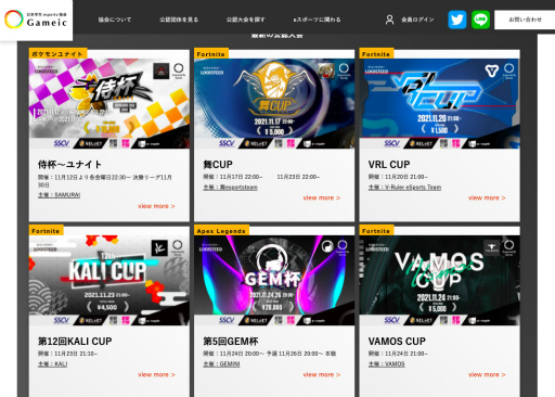 ���������꡼ No.006�Υ���ͥ������ / Gameic�����ޥ��奢e���ݡ������Ρָ�ǧ������١�12�����򳫻�