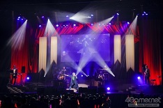 ꡼ No.014Υͥ / ֥󥬥 10ǯ٥ Ķ⹻ƱץݡȡͥؤˤϯɷȡХɤΥ饤ֱդ10ǯʡ