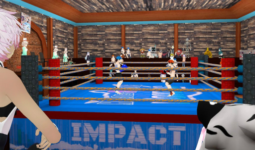 画像ギャラリー No.006のサムネイル画像 / VRボクシングゲームの大会が12月16日開催。アリババクラウドが協賛