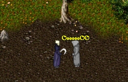 ꡼ No.022 | ΡǴɼŵȥꥻåȥܥɡԵ̣ëɡϪŹɤʤɡǶʹʤʤäդο󤲤Ƥߤ