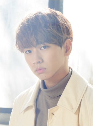 ���������꡼ No.010�Υ���ͥ������ / �֥��饪����Ŵ�͡ץץ��ǥ塼���Υ����ॳ�ߥ�˥ƥ����ڡ��������å��С�����