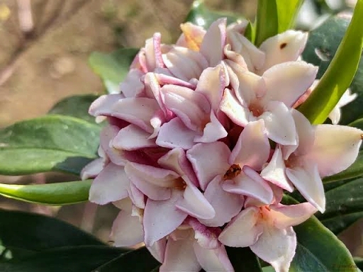 画像ギャラリー No.003のサムネイル画像 / 学生によるeスポーツイベント「瑞香祭」が3月4日から名古屋で開催