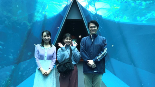 画像ギャラリー No.002のサムネイル画像 / オンライン謎解きゲーム「コード・オブ・アクアマリン 群青からの脱出」,3月18日にリリース