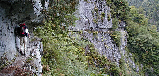 ꡼ No.017Υͥ / ǤŷƲ һΩ ԡҤ˰ջ֤ӤܡܡɥХ󥹳ȯ ֥ӥǥθס28