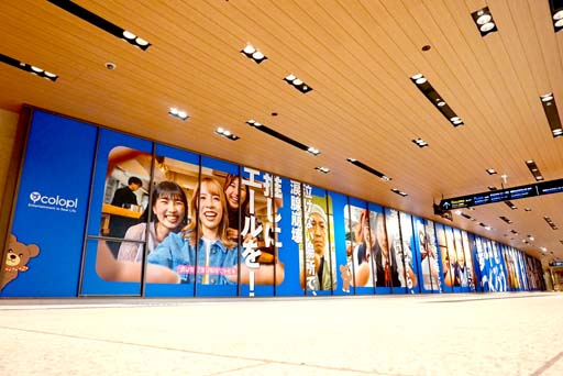 ���������꡼ No.002�Υ���ͥ������ / �����ץ顤�������θ���ɽ�������������ϻ���ڤ�Ÿ��������å����ԡ��ϡ�̴���Ĥ���������