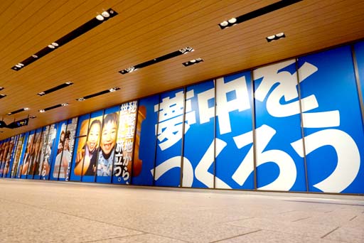 ���������꡼ No.003�Υ���ͥ������ / �����ץ顤�������θ���ɽ�������������ϻ���ڤ�Ÿ��������å����ԡ��ϡ�̴���Ĥ���������