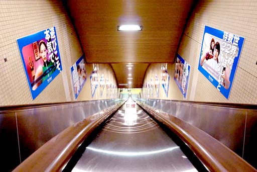 ���������꡼ No.005�Υ���ͥ������ / �����ץ顤�������θ���ɽ�������������ϻ���ڤ�Ÿ��������å����ԡ��ϡ�̴���Ĥ���������