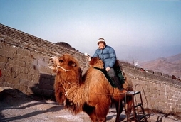 ꡼ No.017Υͥ / ֤ĩפäˡʡ ᤬ɤ³ԡ˸ɡֻԢ֡פȶ׺ʤؤλפ֥ӥǥθס29