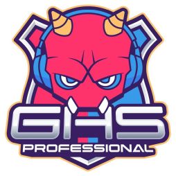 ꡼ No.002 | ץe-SportsGHS Professionalȯ­Ԥ줿Բ񸫤θݡȤ