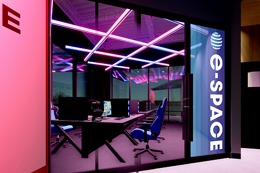 ���������꡼ No.006�Υ���ͥ������ / �ǥ����륫�ե��������ǥߡ���e-VERSE�פ����͡����粬�����ա��ѡ�����6��17�������ץ�e���ݡ������Ⳬ�Ų�ǽ