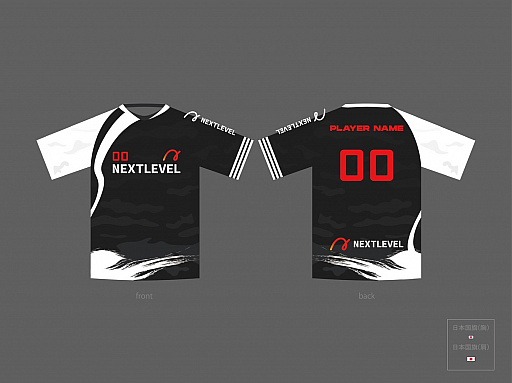 ���������꡼ No.002�Υ���ͥ������ / �ͥ����ȥ�٥�ۡ���ǥ��󥰥���e���ݡ��Ļ��Ȥ˻����������ץ�e���ݡ��ĥ������NEXT LEVEL Gaming�ɤ򱿱�