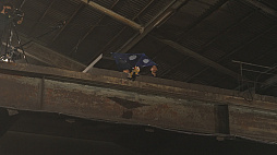 ���������꡼ No.007�Υ���ͥ������ / NHK�����¤����פ�SIE�Υ��󥸥˥����б顣���Ǥ�8��20����8��27���ǡ��ͥ������Τ��������ŵ����ȥ���󥹥����˲�¤