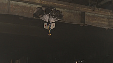 ���������꡼ No.021�Υ���ͥ������ / NHK�����¤����פ�SIE�Υ��󥸥˥����б顣���Ǥ�8��20����8��27���ǡ��ͥ������Τ��������ŵ����ȥ���󥹥����˲�¤