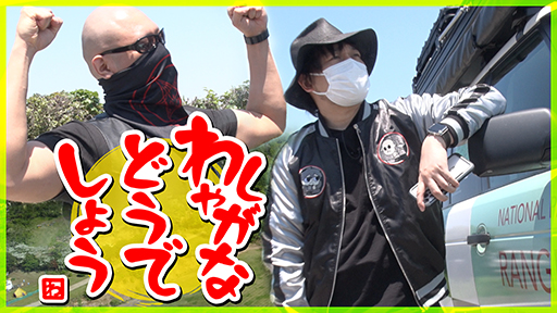 ڽˡϿ60ˡۺ̴𤨤 路㤬ʥǥ ȯμȡԡڥɥ饤֡