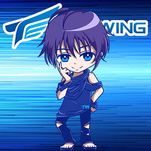 ���������꡼ No.002�Υ���ͥ������ / TEQWING e-Sports��komon�����sheliemay���꤬e���ݡ��Ĺֻդ˽�Ǥ