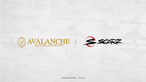 ���������꡼ No.001�Υ���ͥ������ / e���ݡ��ĥ������SCARZ�ס������������ȥѡ��ȥʡ����åפ�����