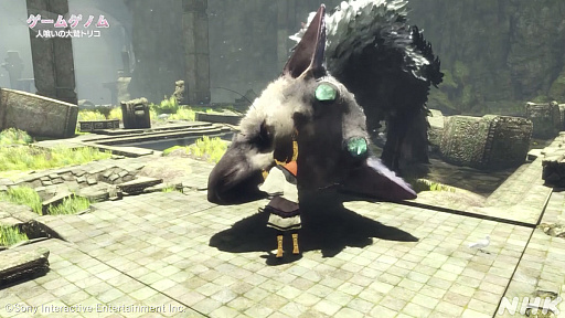 ꡼ No.011 | NHK֥ॲΥ1ϡ֥ȵפȡֿͶɥȥꥳסα̥ϤůŪ붵ȤĤ10󥷥꡼ǥ