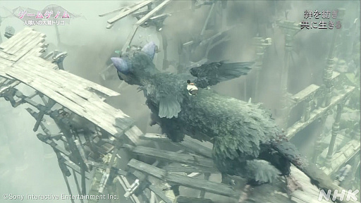 ꡼ No.012 | NHK֥ॲΥ1ϡ֥ȵפȡֿͶɥȥꥳסα̥ϤůŪ붵ȤĤ10󥷥꡼ǥ