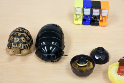 ꡼ No.030 | ХΡ֥ݥ׽οݡȡ45ǯޤƤ˹說說