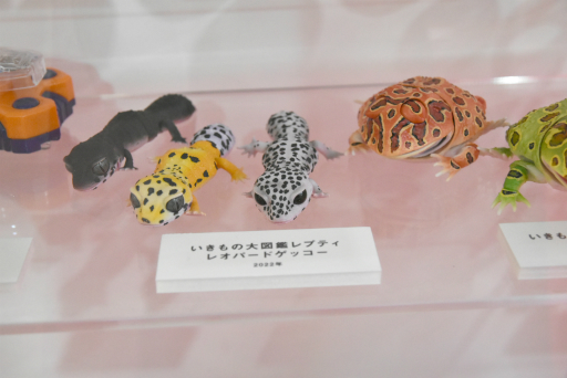 ꡼ No.021 | JRؤˤƳΡ֥ݥ 45ǯפݡȡ奬ݥΰŸ̵ǲ󤻤뼫ε֤