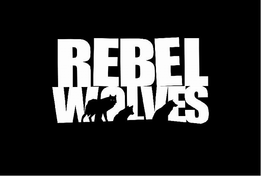  No.001Υͥ / NetEase Games֥å㡼3פ֥Сѥ2077פγȯԤ餬Ω夲Rebel WolvesؤάŪȯɽ