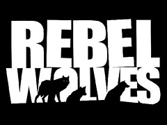 NetEase Games���֥����å��㡼3�פ�֥����С��ѥ�2077�פγ�ȯ�Ԥ餬Ω���夲��Rebel Wolves�ؤ���άŪ����ȯɽ