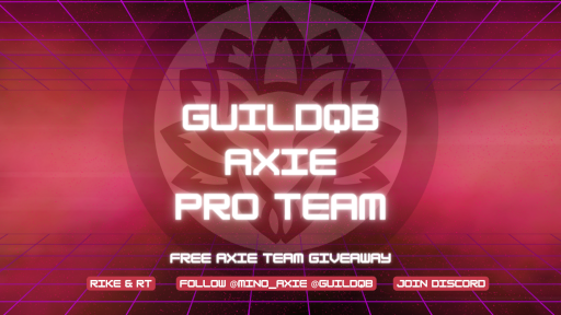 ���������꡼ No.001�Υ���ͥ������ / GuildQB��QB AxieInfinity Pro���������Ω��ȯɽ