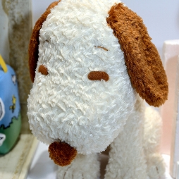 ���������꡼ No.135�Υ���ͥ������ / ����71��ץ饤���ե����ץե��ȥ�ݡ��ȡ��֥���̼ �ץ�ƥ��������ӡ��פ�֥����ӥ��פο�����ƥ��