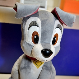 ���������꡼ No.153�Υ���ͥ������ / ����71��ץ饤���ե����ץե��ȥ�ݡ��ȡ��֥���̼ �ץ�ƥ��������ӡ��פ�֥����ӥ��פο�����ƥ��