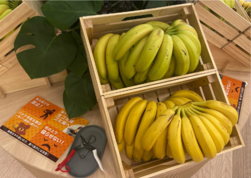 画像ギャラリー No.003のサムネイル画像 / コロプラ,ユニークな制度づくりや従業員の健康と安全に配慮した施策が評価され「健康経営優良法人」に3年連続で認定