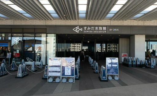 ���������꡼ No.010�Υ���ͥ������ / ���Ѥ����륭��󢤡��ܤ������ꥳ�ꥳ�����Ϥˤ�äƤ��롣���ĥ�����Bahamut���˥����Ͻ����� 2023�פ�5��˼»ܡ�����餷��