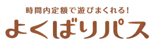 ꡼ No.005 | ֥⡼꡼ե󥿥 Ź420˥˥塼륪ץ3аʾλҤɤ⤬ҤȤͷ٤ͷӾȥåǥסɤʻ