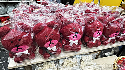 ꡼ No.018Υͥ / MOTHER꡼Ρȥȥ꡼ȥ㡼ɤ򥤥᡼ƥब󡣴ָꥷåסMOTHERΥȥ꡼ȡץ