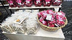 ꡼ No.019Υͥ / MOTHER꡼Ρȥȥ꡼ȥ㡼ɤ򥤥᡼ƥब󡣴ָꥷåסMOTHERΥȥ꡼ȡץ