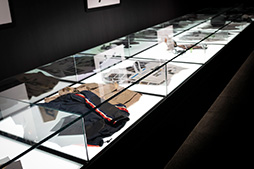 ꡼ No.009 | ޥץˡβҤäƤ֤⤷ĤΥ줿Ȥ顤ͤäȤǰŨʷиˤʤȻפޤ